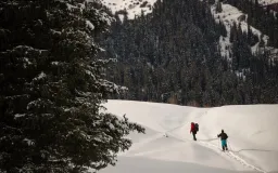 Snowshoeing adventure