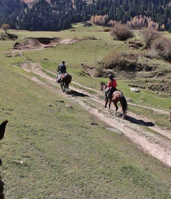 Horse riding at Yrdyk